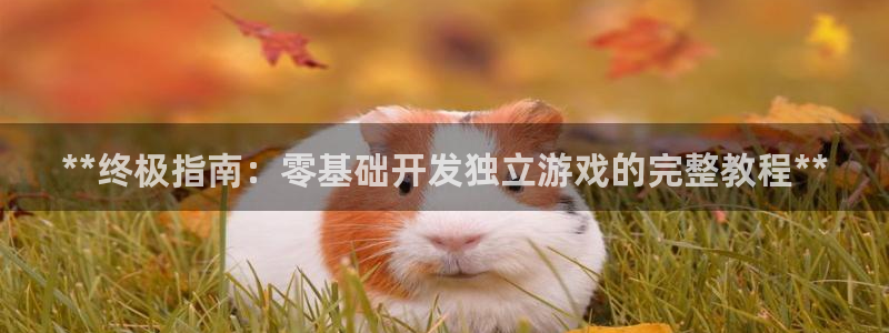 沐鸣登录地址：**终极指南：零基础开发独