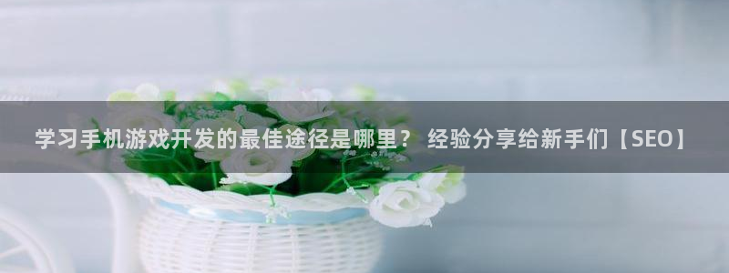 沐鸣科技是属于谁的子公司：学习手机游戏开