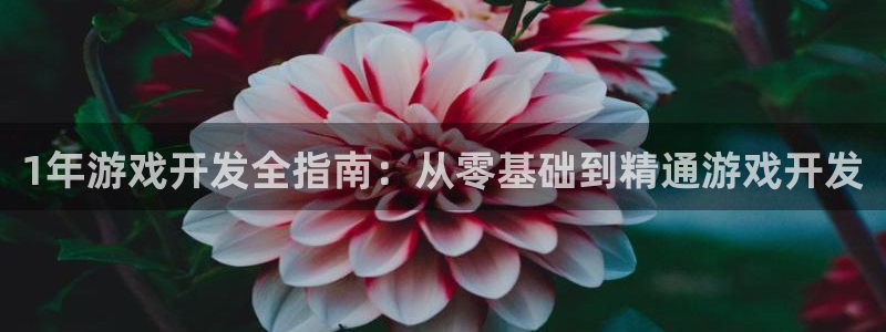 沐鸣4主管：1年游戏开发全指南：从零基础