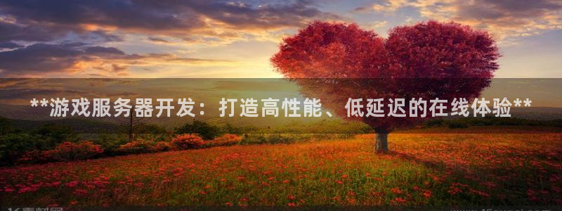 沐鸣平台官方网站：**游戏服务器开发：打