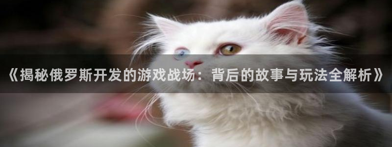沐鸣科技有限公司官网招聘：《揭秘俄罗斯开