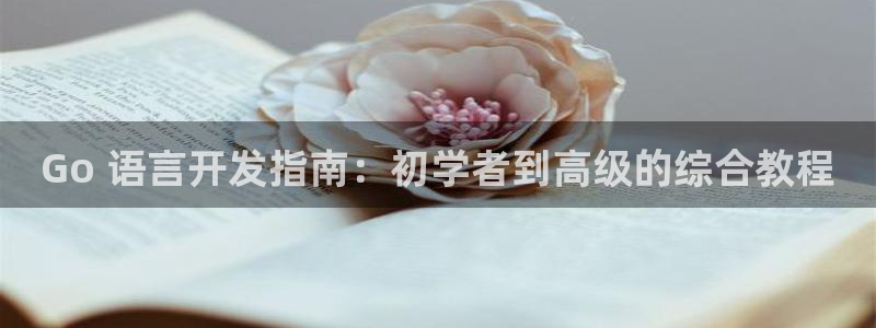 沐鸣科技有哪些产品：Go 语言开发指南：初学者到高